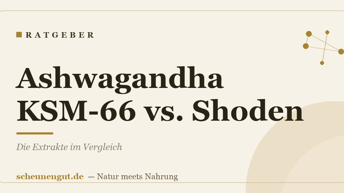Ashwagandha KSM-66 vs. Shoden: Die Extrakte im Vergleich