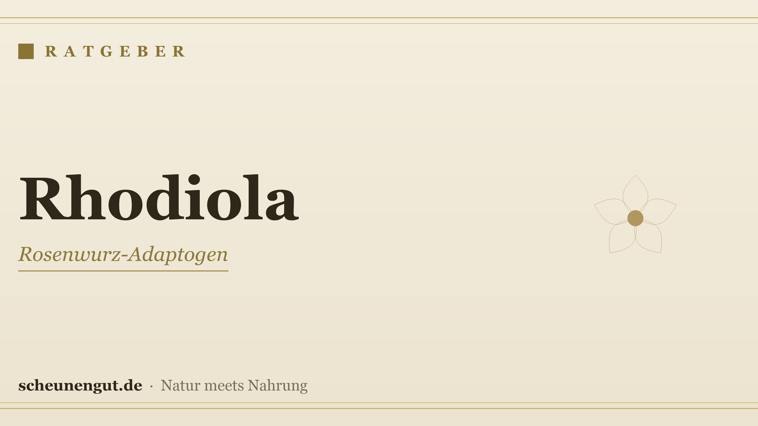 Rhodiola (Rosenwurz): Das Adaptogen erklärt – Ratgeber von Scheunengut