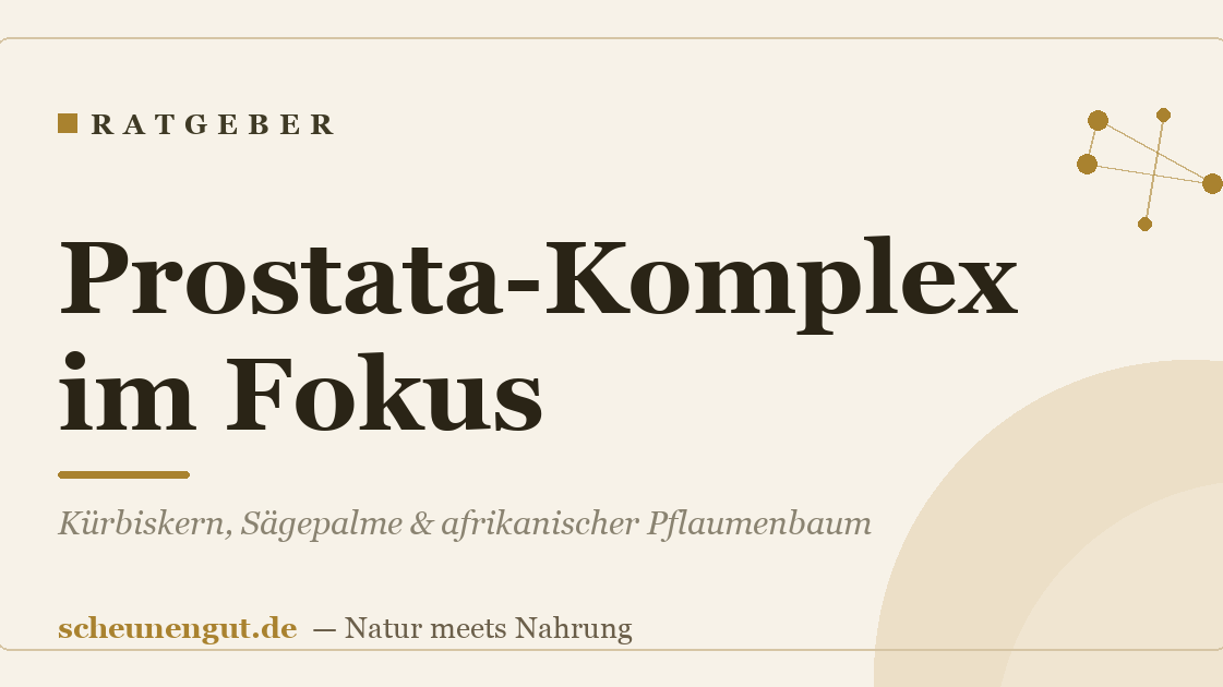Prostata-Komplex im Fokus: Kürbiskern, Sägepalme & afrikanischer Pflaumenbaum