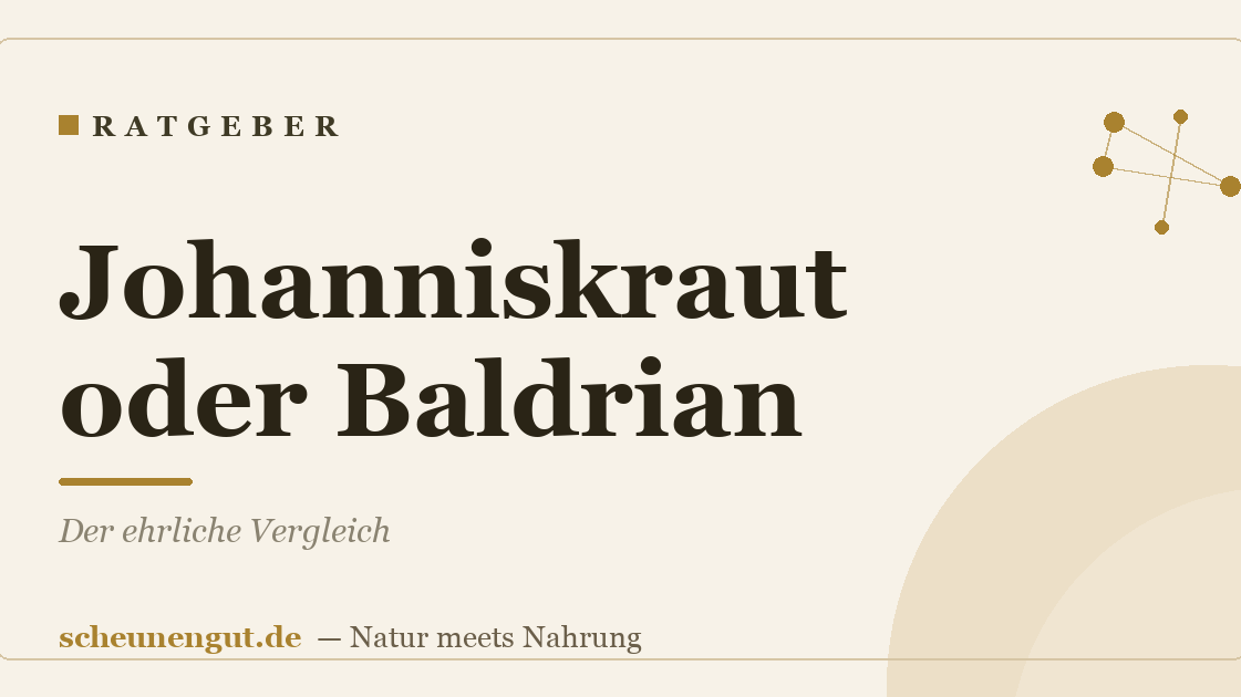 Johanniskraut oder Baldrian? Der ehrliche Vergleich