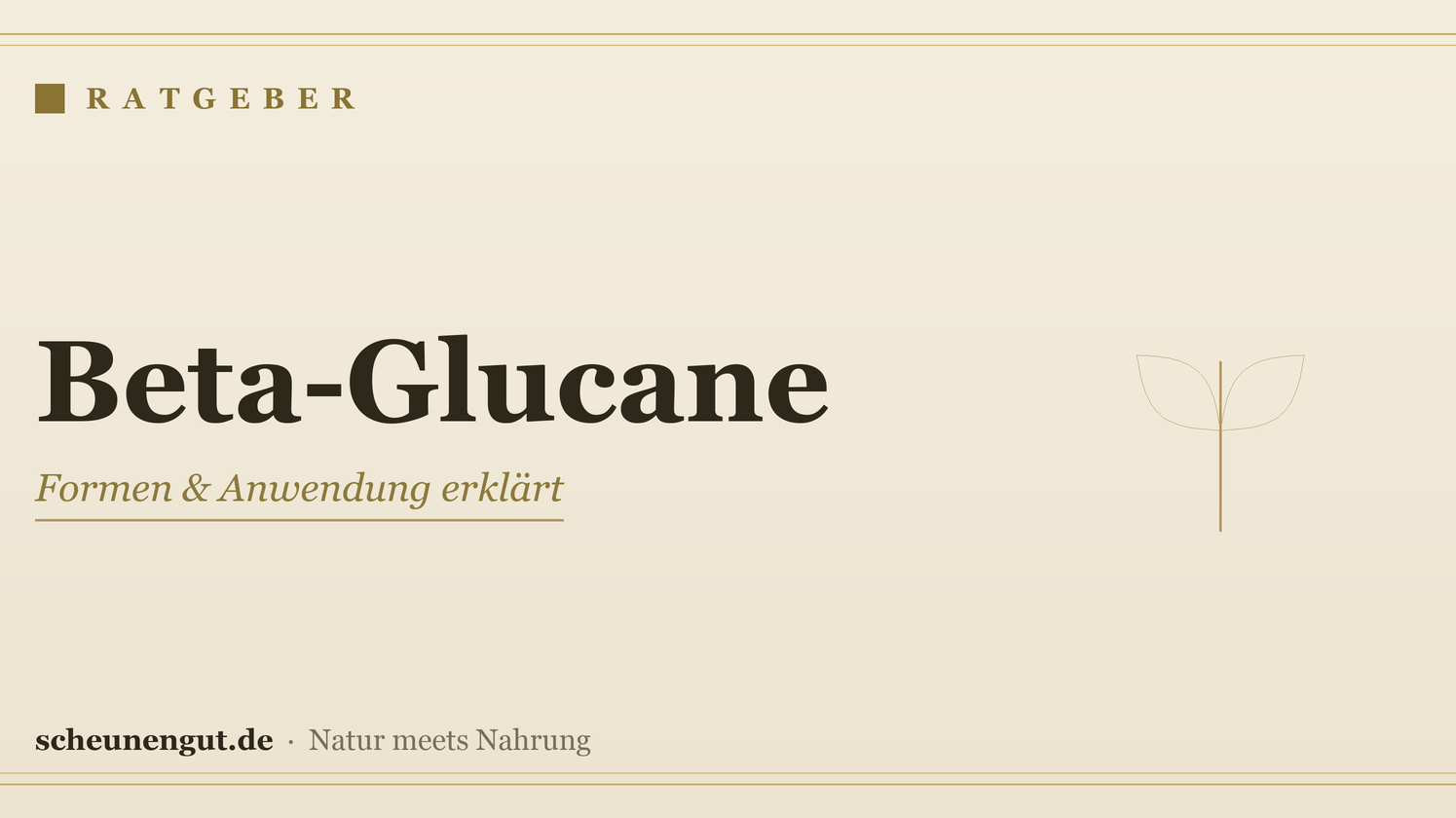 Beta-Glucane: Wirkung & Formen erklärt – Ratgeber von Scheunengut