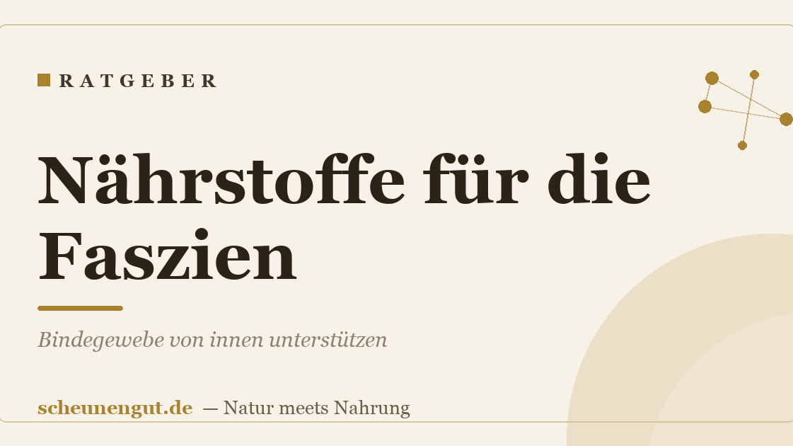 Nährstoffe für die Faszien: Bindegewebe von innen unterstützen