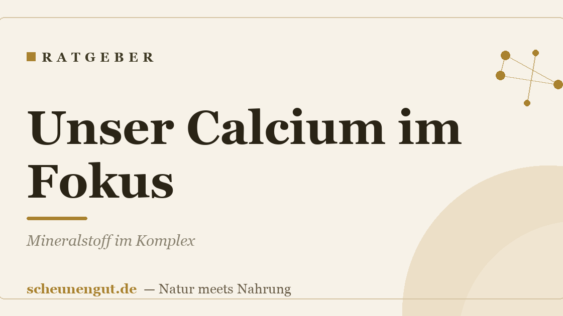 Unser Calcium im Fokus: Mineralstoff im Komplex