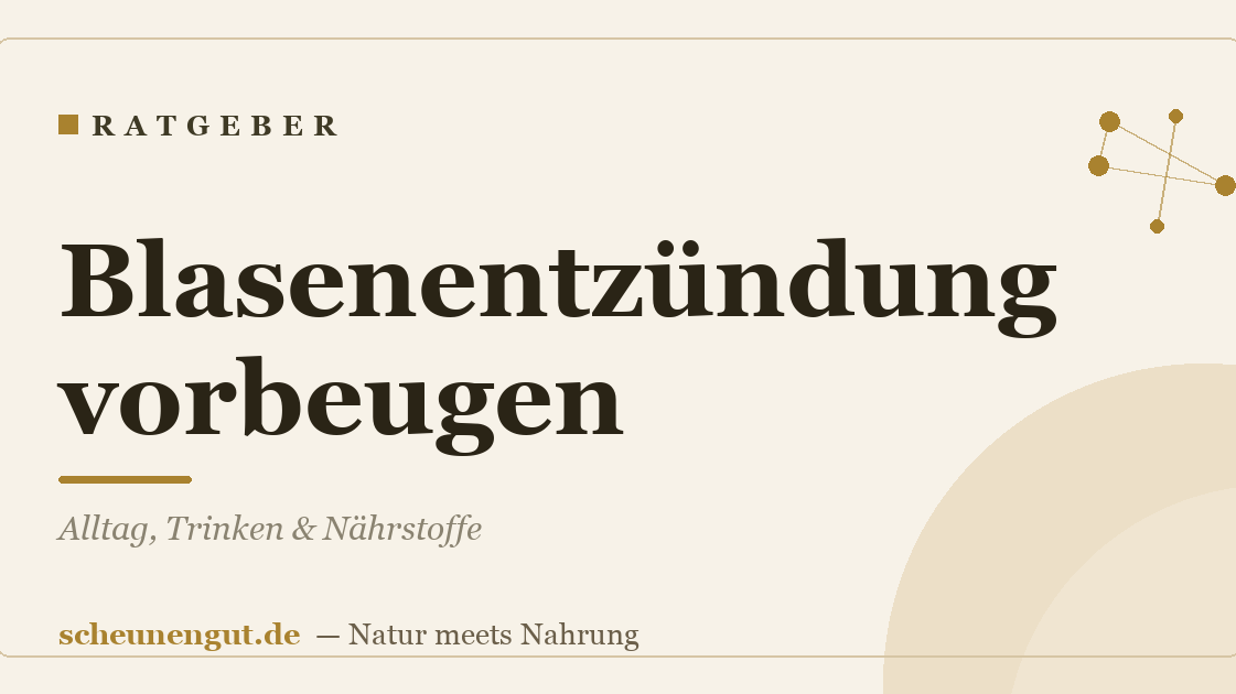 Blasenentzündung vorbeugen: Alltag, Trinken & Nährstoffe