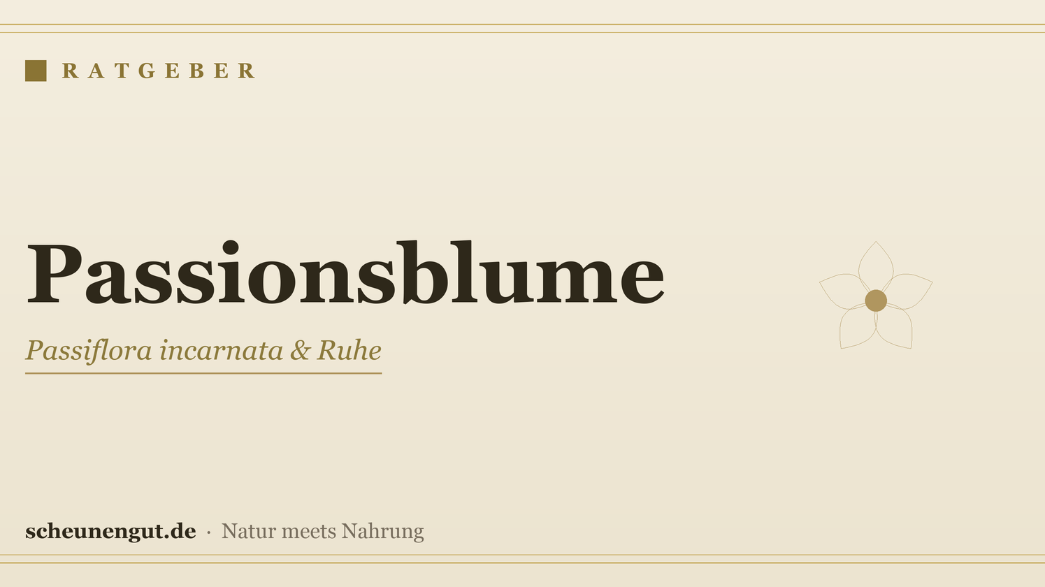 Passionsblume: Beruhigung & Schlaf – Ratgeber von Scheunengut