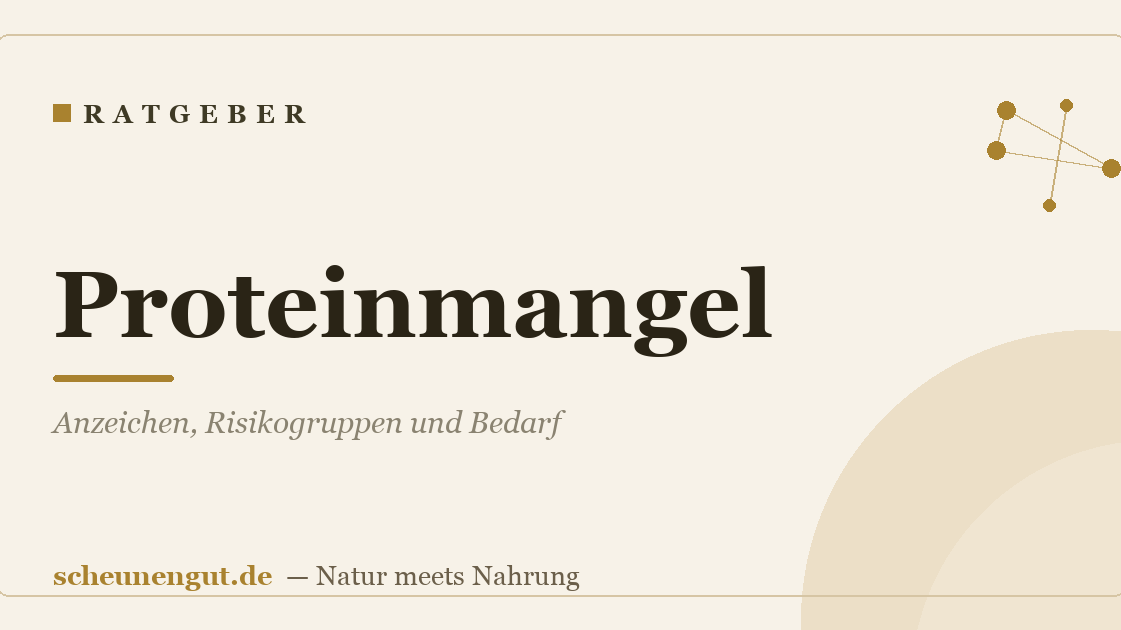 Proteinmangel: Anzeichen, Risikogruppen und Bedarf