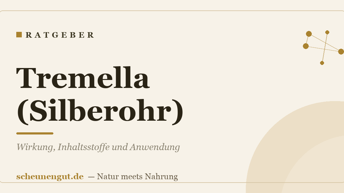 Tremella (Silberohr): Wirkung, Inhaltsstoffe und Anwendung