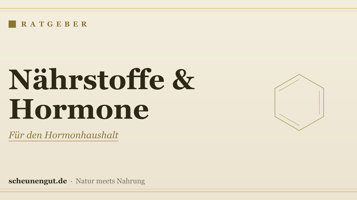 Nährstoffe für den Hormonhaushalt – Ratgeber von Scheunengut