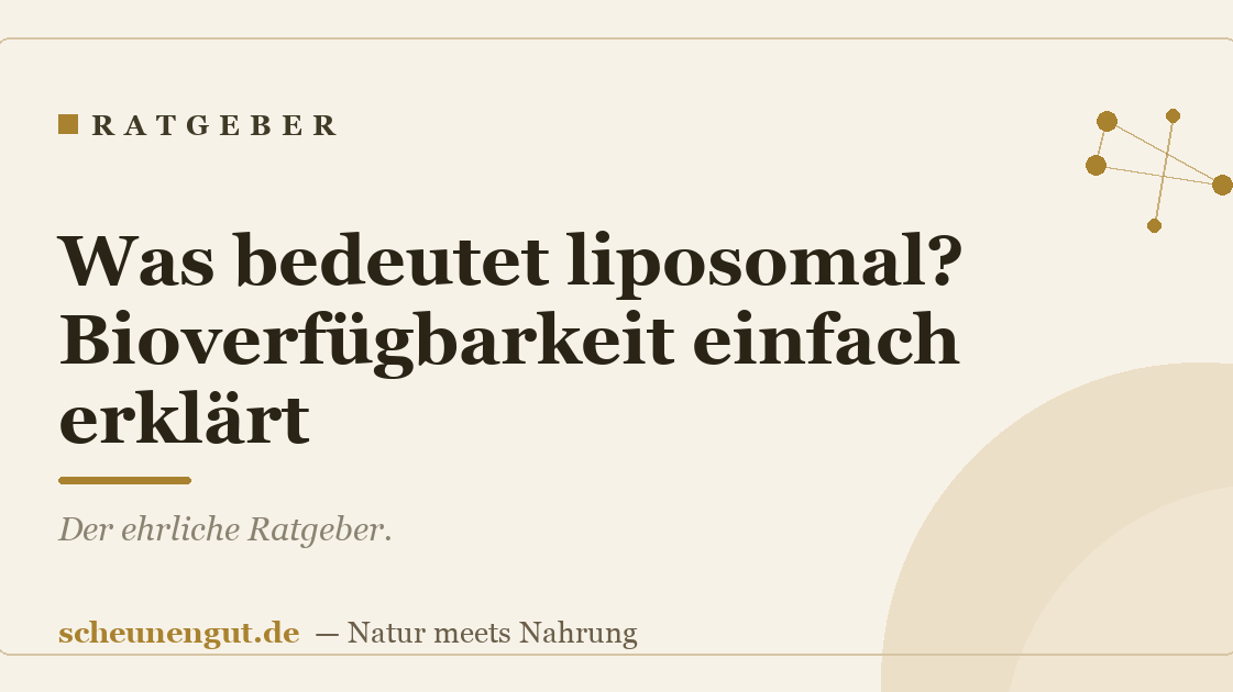 Was bedeutet liposomal? Bioverfügbarkeit einfach erklärt