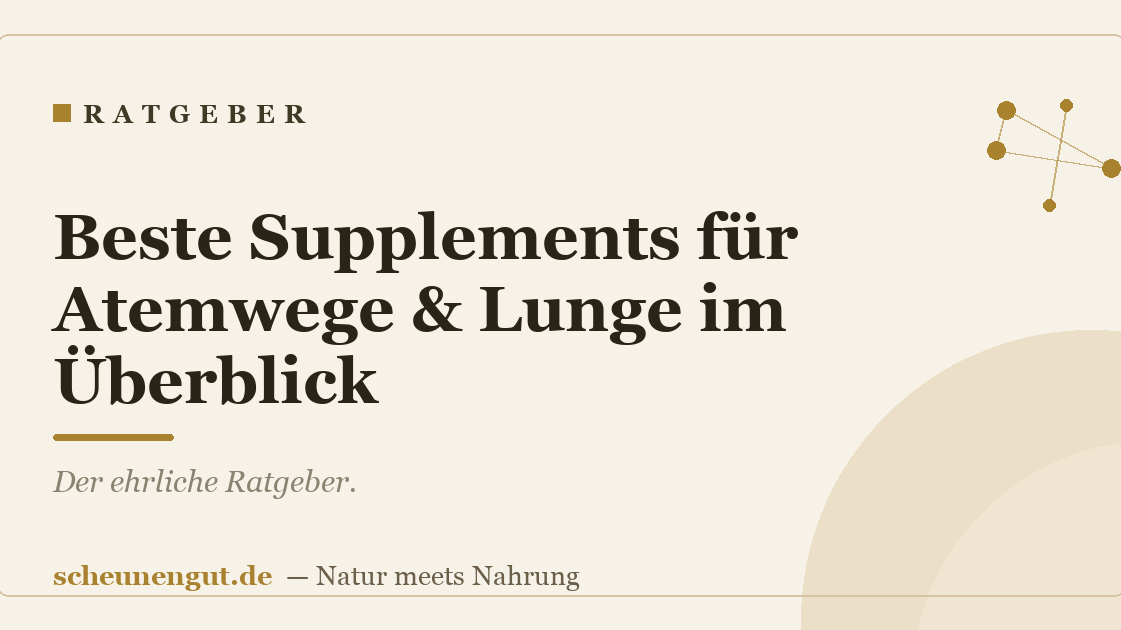 Beste Supplements für Atemwege & Lunge im Überblick