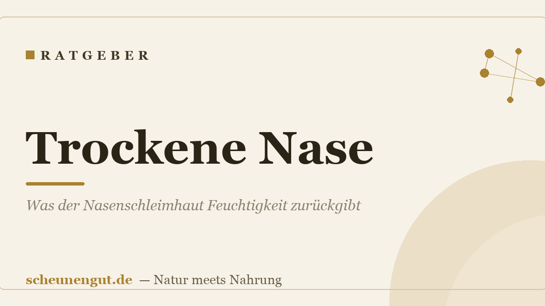 Trockene Nase: Was der Nasenschleimhaut Feuchtigkeit zurückgibt