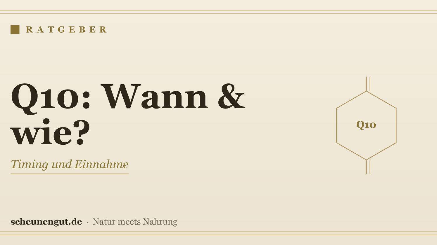 Coenzym Q10: Wann und wie einnehmen? – Ratgeber von Scheunengut