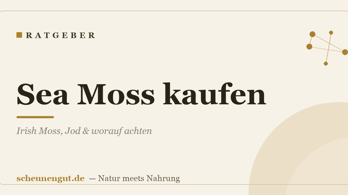Sea Moss kaufen: Irish Moss, Jod & worauf achten