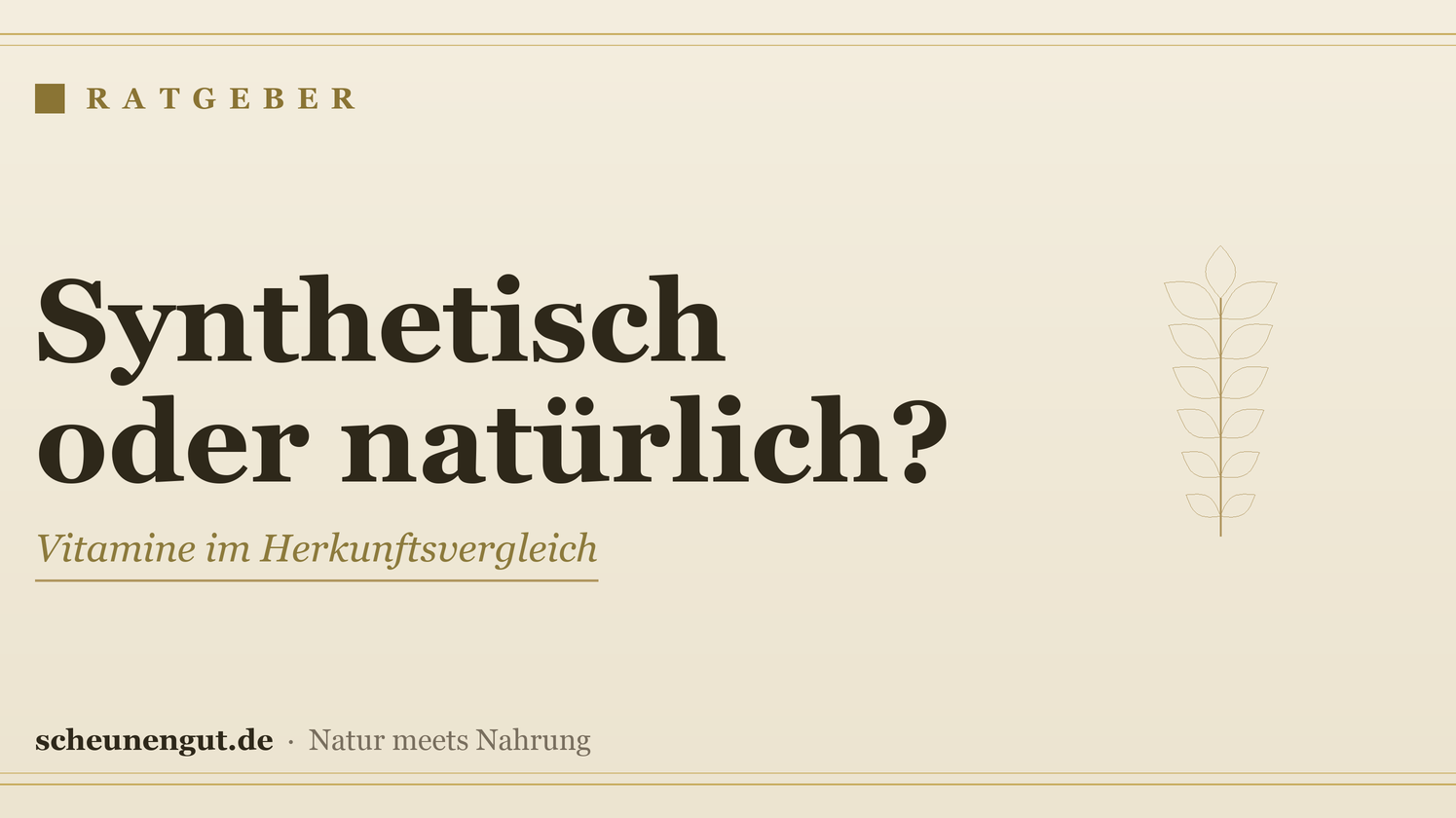 Synthetische oder natürliche Vitamine? Der Vergleich – Ratgeber von Scheunengut