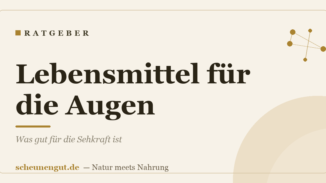 Lebensmittel für die Augen: Was gut für die Sehkraft ist