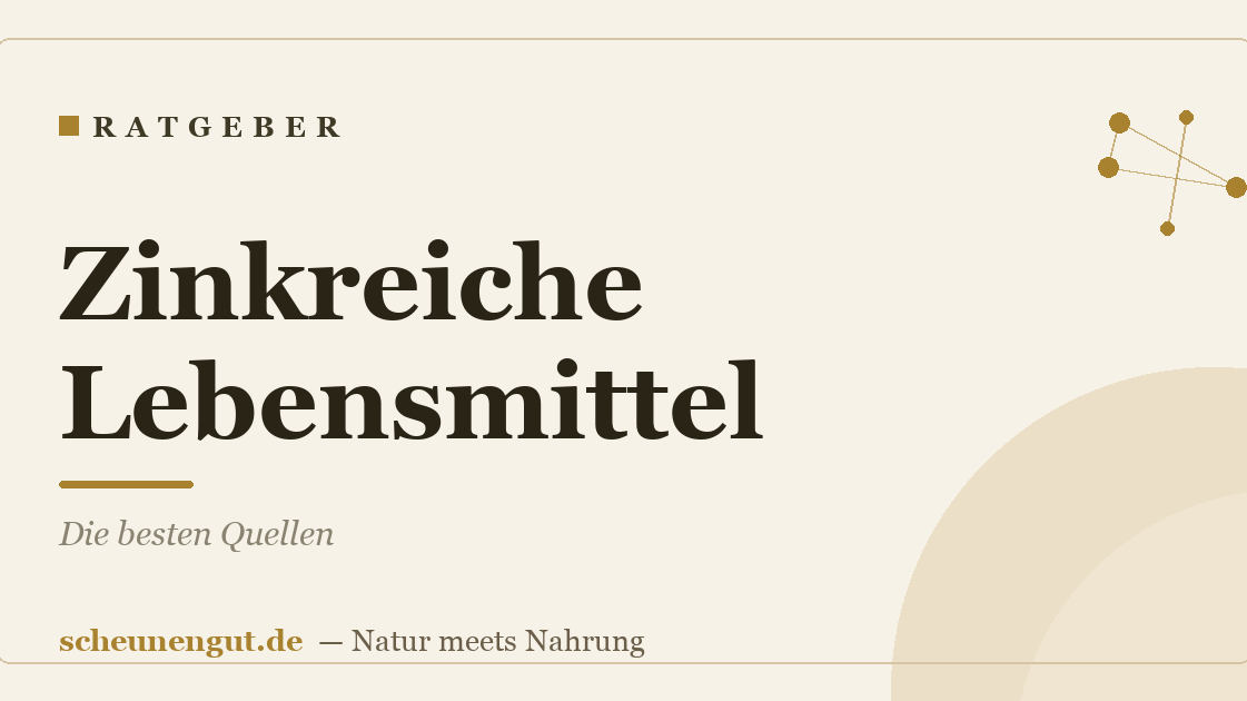 Zinkreiche Lebensmittel: Die besten Quellen