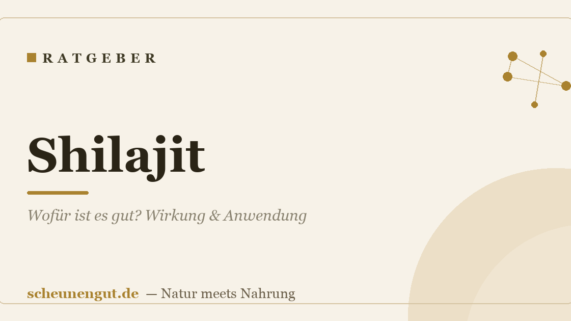 Shilajit: Wofür ist es gut? Wirkung & Anwendung