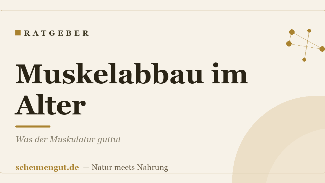 Muskelabbau im Alter: Was der Muskulatur guttut