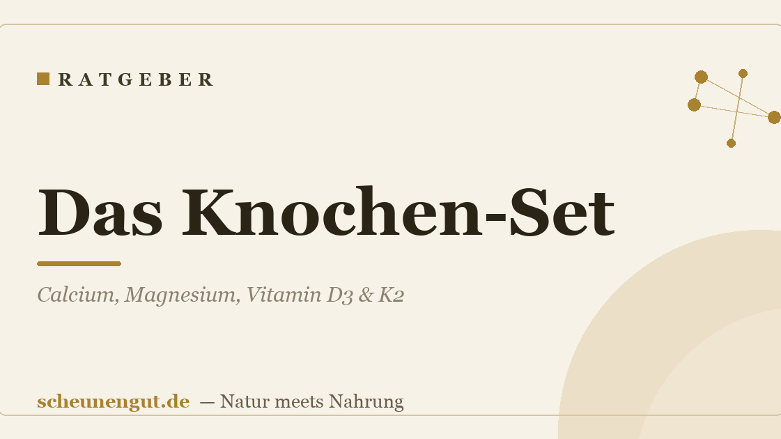 Das Knochen-Set: Calcium, Magnesium, Vitamin D3 & K2