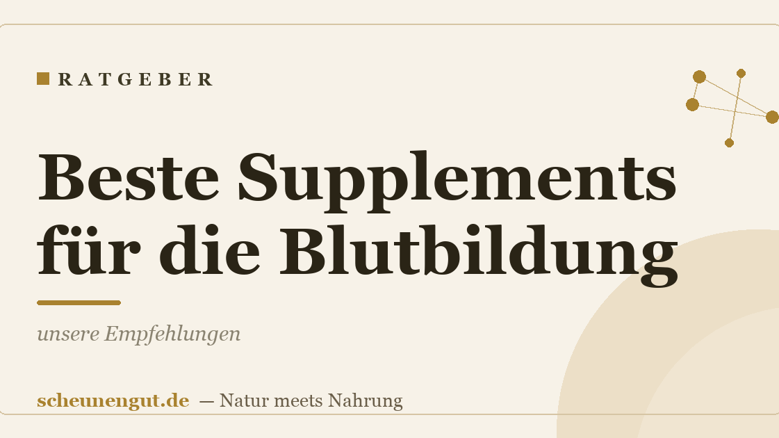 Beste Supplements für die Blutbildung: unsere Empfehlungen