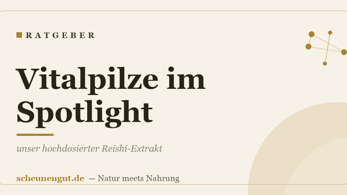 Vitalpilze im Spotlight: unser hochdosierter Reishi-Extrakt