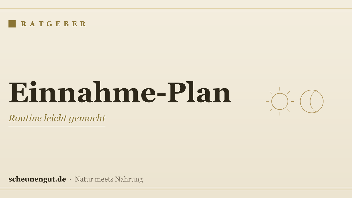 Einen Einnahme-Plan erstellen: Schritt für Schritt – Ratgeber von Scheunengut