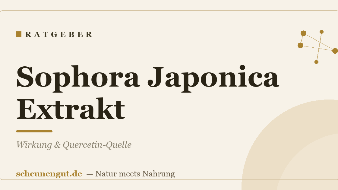 Sophora Japonica Extrakt: Wirkung & Quercetin-Quelle