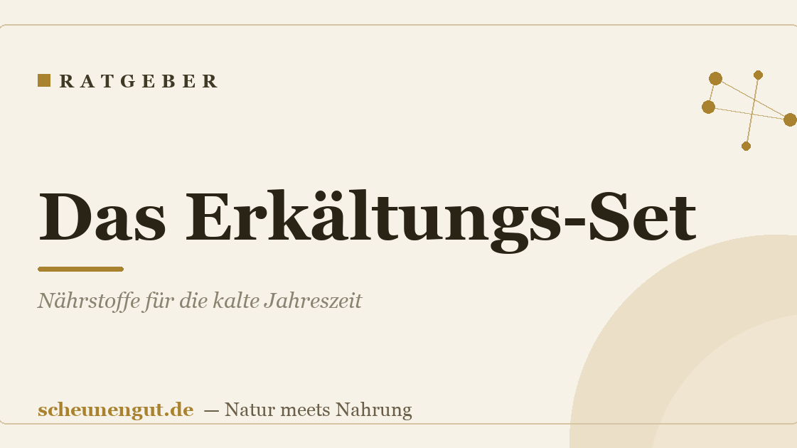 Das Erkältungs-Set: Nährstoffe für die kalte Jahreszeit