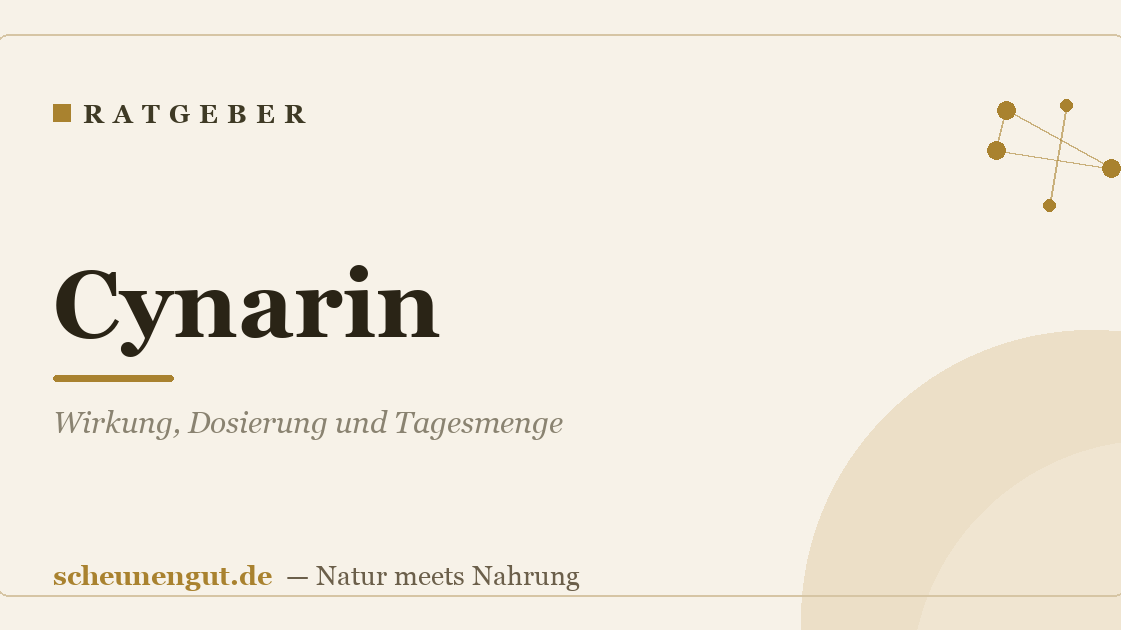 Cynarin: Wirkung, Dosierung und Tagesmenge