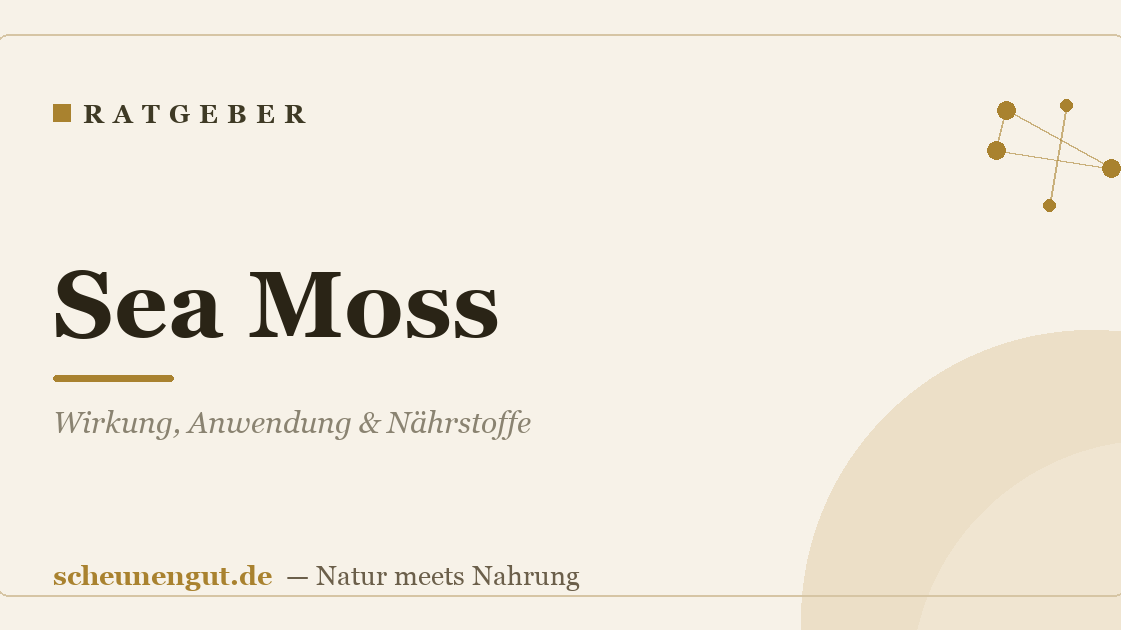 Sea Moss: Wirkung, Anwendung & Nährstoffe