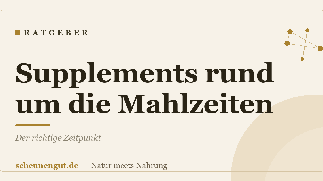 Supplements rund um die Mahlzeiten: Der richtige Zeitpunkt