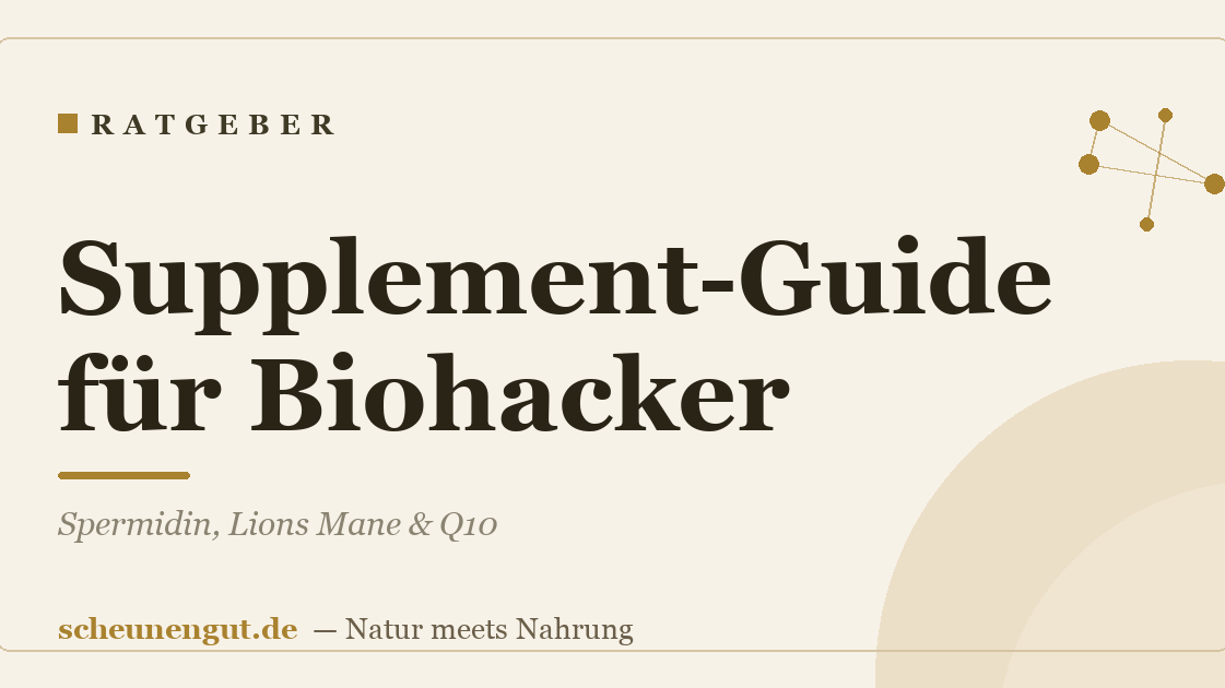 Supplement-Guide für Biohacker: Spermidin, Lions Mane & Q10