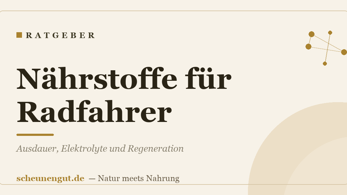 Nährstoffe für Radfahrer: Ausdauer, Elektrolyte und Regeneration