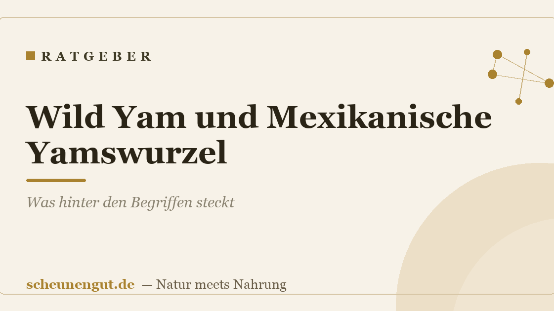 Wild Yam und Mexikanische Yamswurzel: Was hinter den Begriffen steckt
