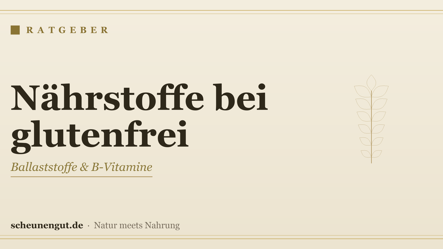 Nährstoffe bei glutenfreier Ernährung – Ratgeber von Scheunengut