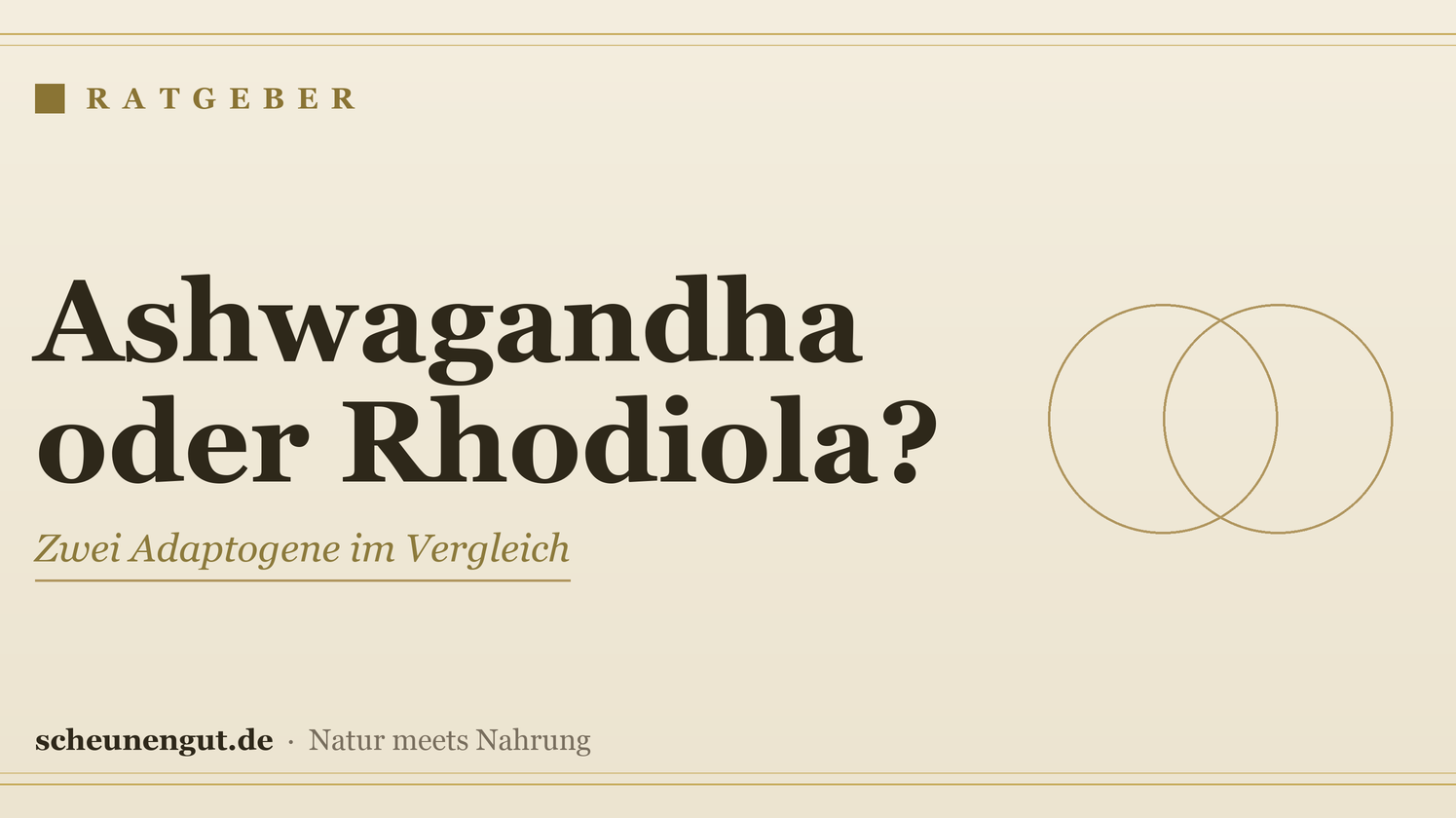 Ashwagandha oder Rhodiola? Adaptogene im Vergleich – Ratgeber von Scheunengut