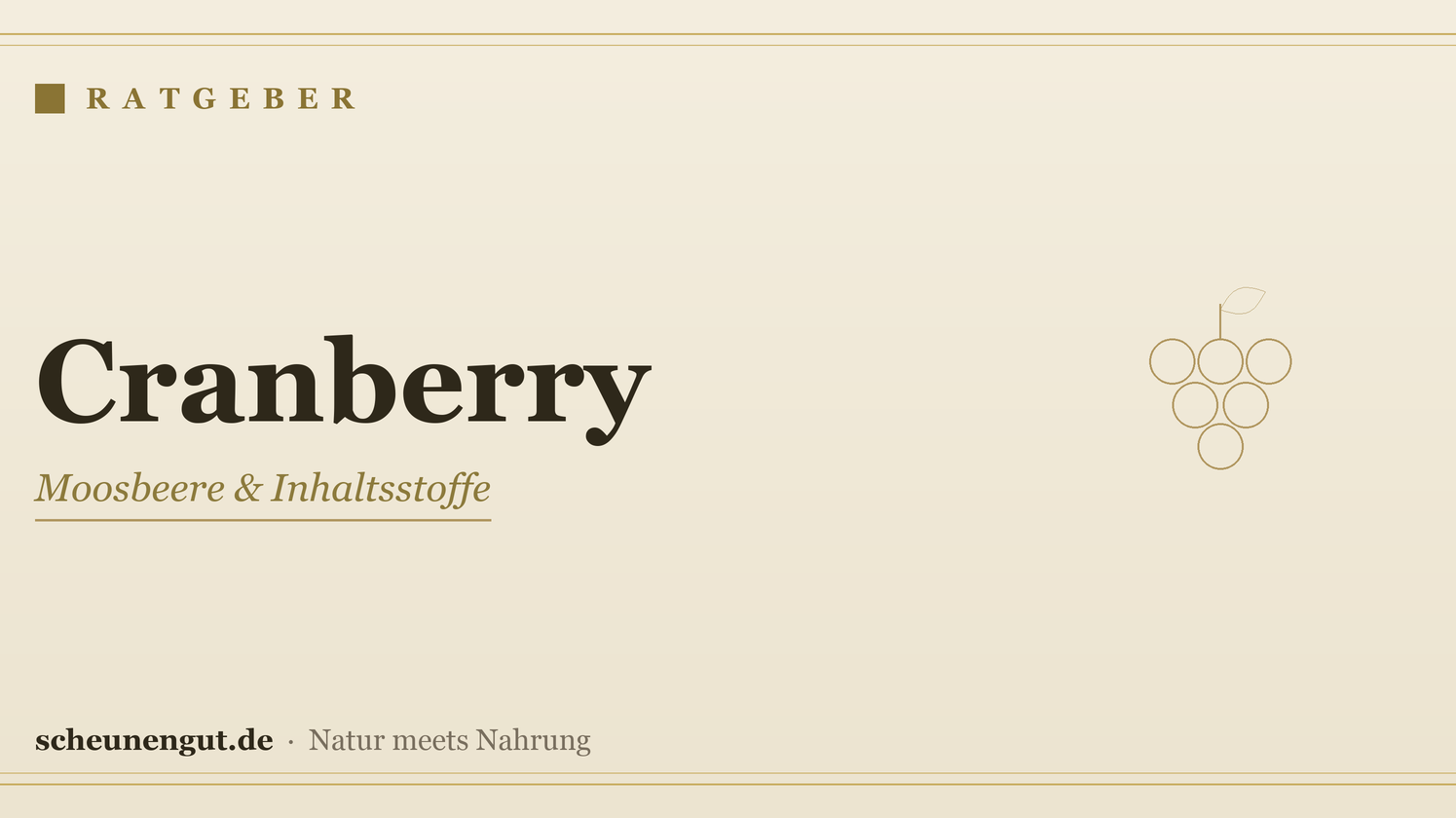 Cranberry: Die Moosbeere sachlich erklärt – Ratgeber von Scheunengut