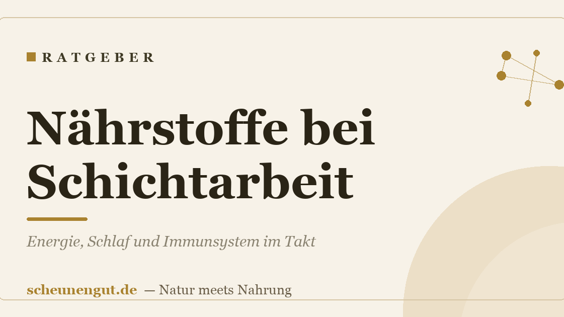 Nährstoffe bei Schichtarbeit: Energie, Schlaf und Immunsystem im Takt