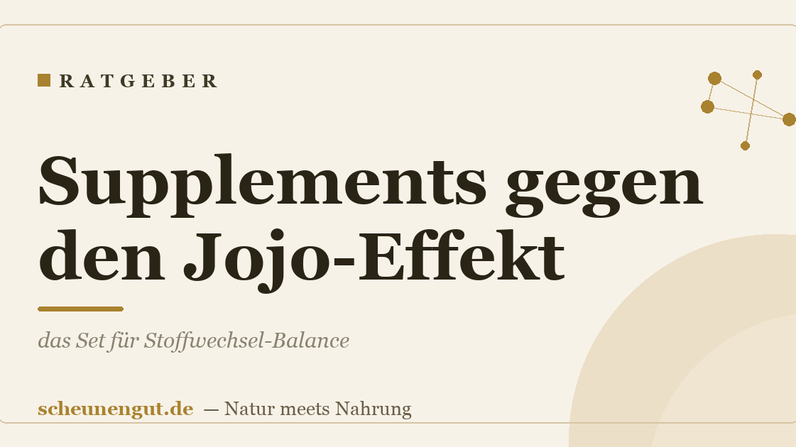 Supplements gegen den Jojo-Effekt: das Set für Stoffwechsel-Balance