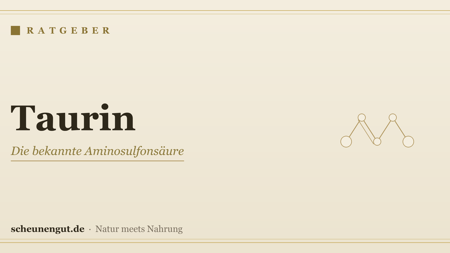 Taurin: Was es ist und wie es verwendet wird – Ratgeber von Scheunengut