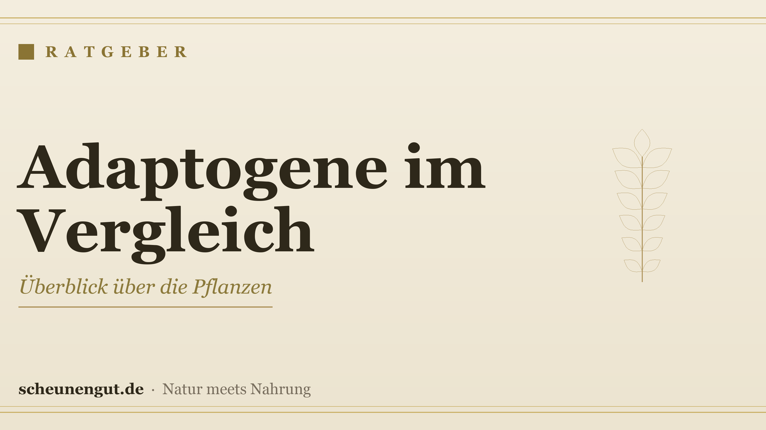 Adaptogene: Überblick & Vergleich – Ratgeber von Scheunengut