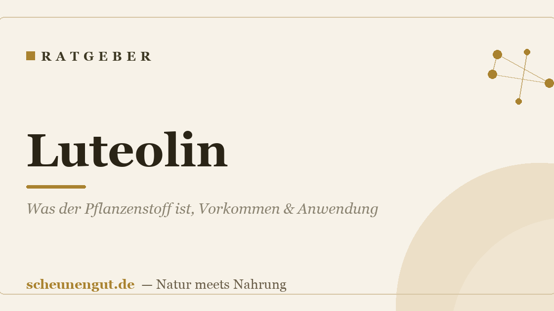 Luteolin: Was der Pflanzenstoff ist, Vorkommen & Anwendung