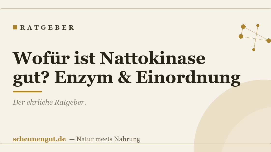 Wofür ist Nattokinase gut? Enzym & Einordnung