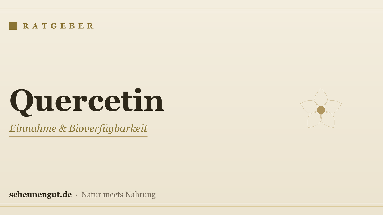 Quercetin: Einnahme & Bioverfügbarkeit – Ratgeber von Scheunengut