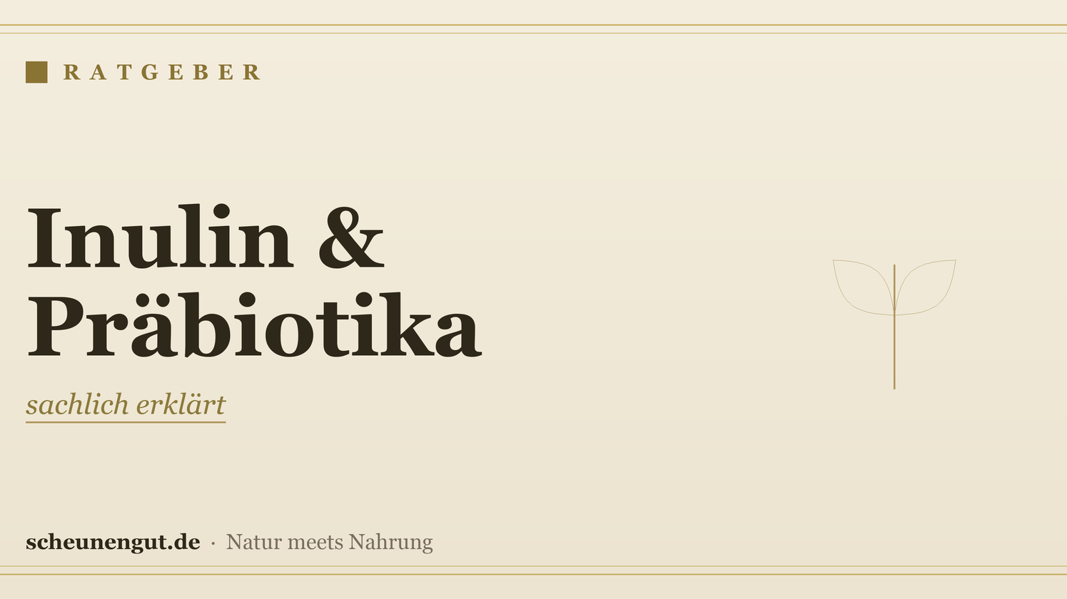 Inulin & Präbiotika: sachlich erklärt – Ratgeber von Scheunengut