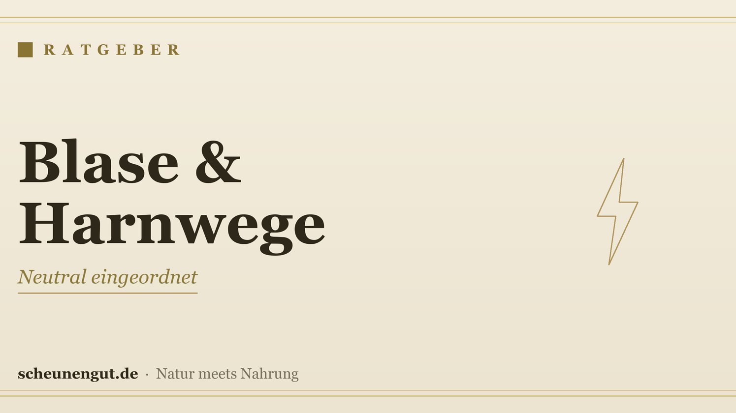 Nährstoffe für Blase & Harnwege – Ratgeber von Scheunengut