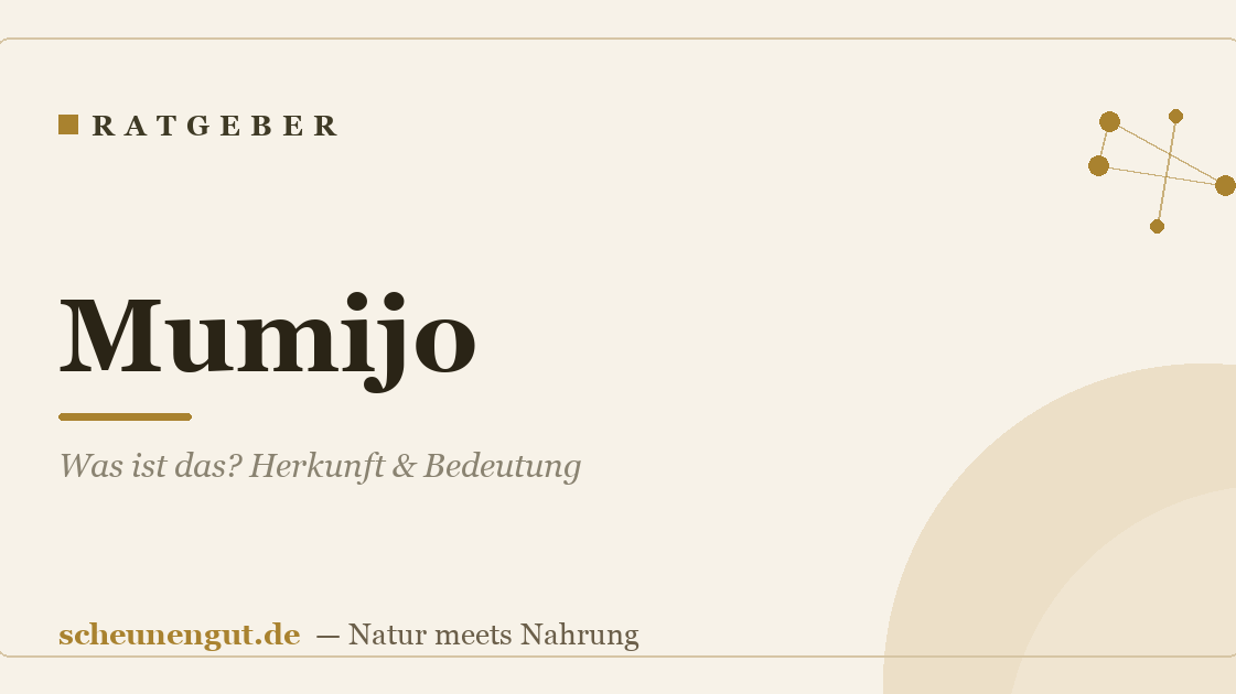 Mumijo: Was ist das? Herkunft & Bedeutung