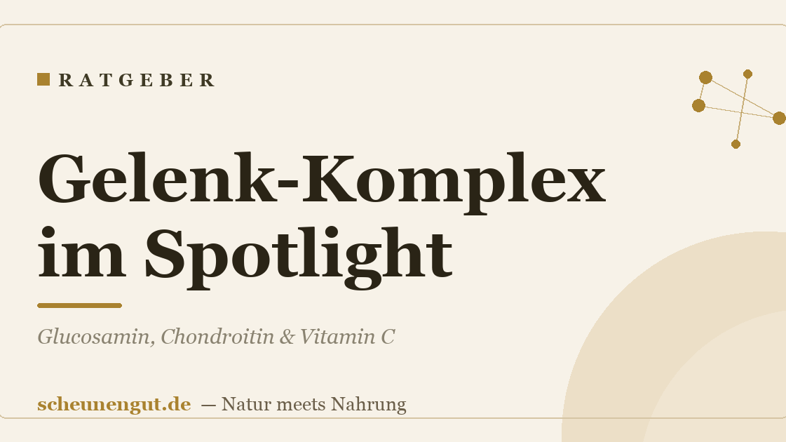 Gelenk-Komplex im Spotlight: Glucosamin, Chondroitin & Vitamin C