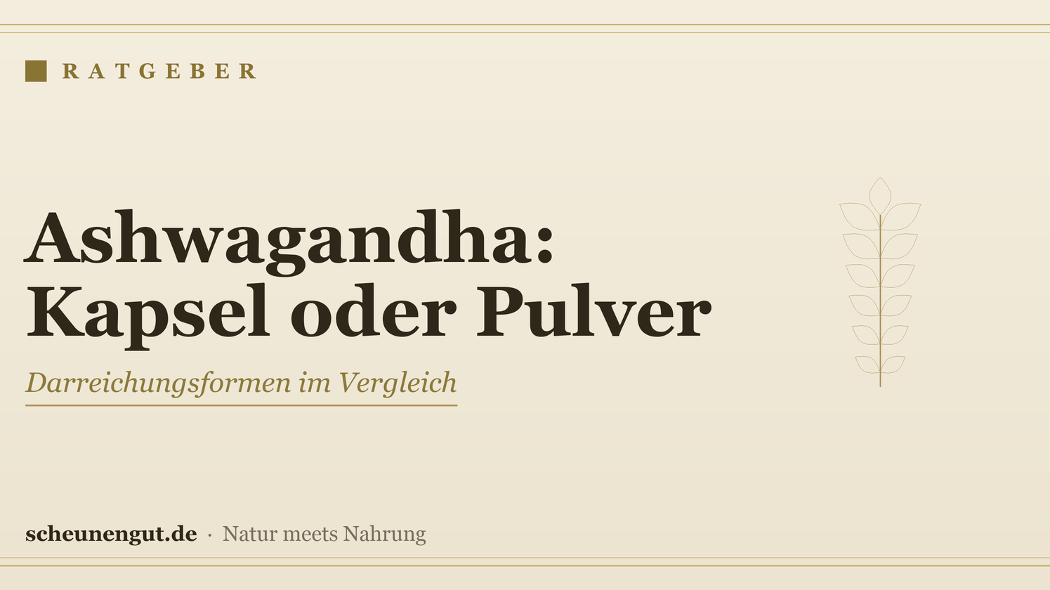 Ashwagandha: Kapsel oder Pulver? – Ratgeber von Scheunengut