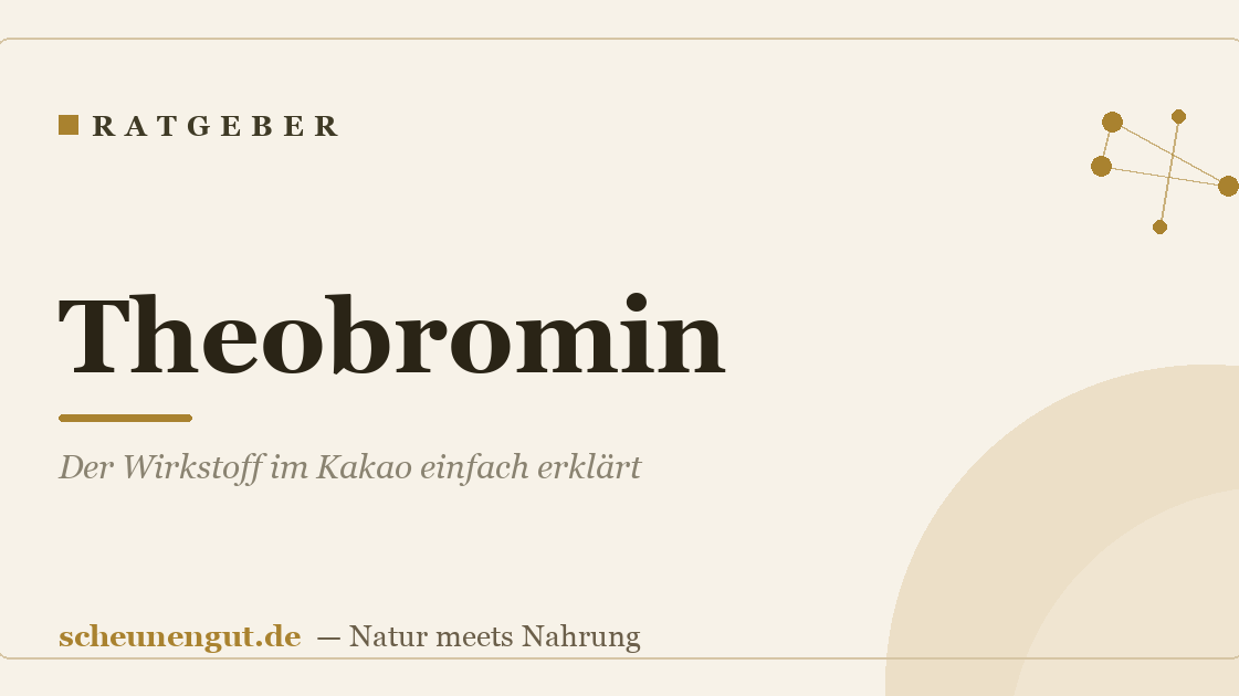 Theobromin: Der Wirkstoff im Kakao einfach erklärt